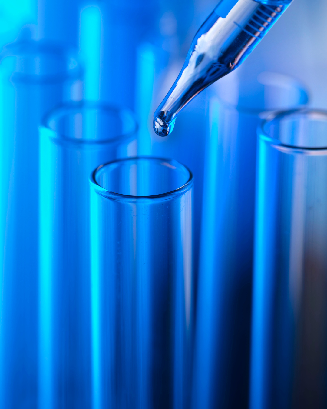Lab Results Review